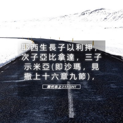 Picture 05 - 歷 代 志 上 2:13 CUVT - 耶 西 生 長 子 以 利 押 ， 次 子 亞 - Bible Verse Picture