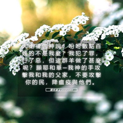 Picture 05 - 歷 代 志 上 21:17 CUVT - 大 衛 禱 告 神 說 ： 吩 咐 數 點 百 - Bible Verse Picture