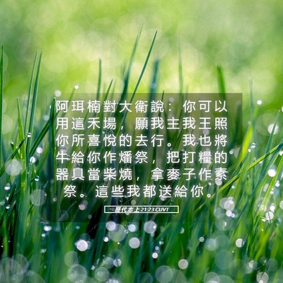 Picture 05 - 歷 代 志 上 21:23 CUVT - 阿 珥 楠 對 大 衛 說 ： 你 可 以 用 - Bible Verse Picture
