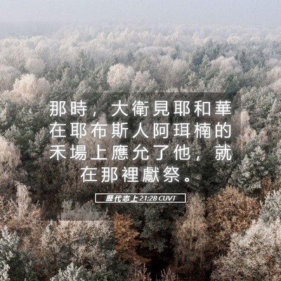 Picture 05 - 歷 代 志 上 21:28 CUVT - 那 時 ， 大 衛 見 耶 和 華 在 耶 布 - Bible Verse Picture