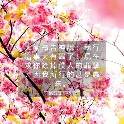 Picture 05 - 歷 代 志 上 21:8 CUVT - 大 衛 禱 告 神 說 ： 我 行 這 事 大 - Bible Verse Picture