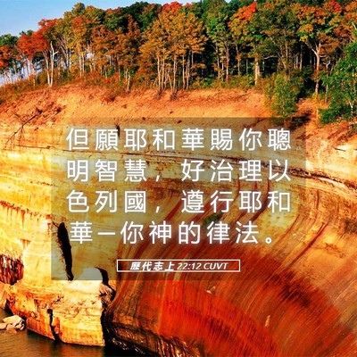 Picture 05 - 歷 代 志 上 22:12 CUVT - 但 願 耶 和 華 賜 你 聰 明 智 慧 ， - Bible Verse Picture