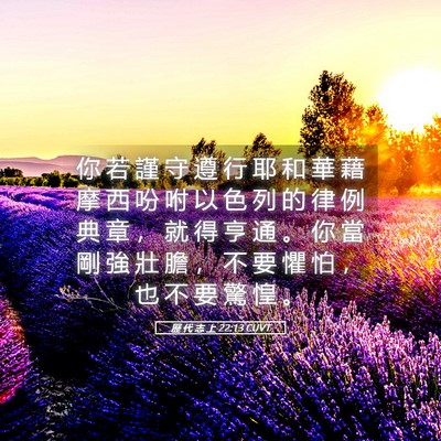 Picture 05 - 歷 代 志 上 22:13 CUVT - 你 若 謹 守 遵 行 耶 和 華 藉 摩 西 - Bible Verse Picture