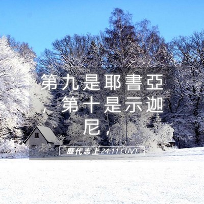 Picture 05 - 歷 代 志 上 24:11 CUVT - 第 九 是 耶 書 亞 ， 第 十 是 示 迦 - Bible Verse Picture