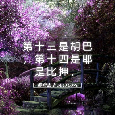 Picture 05 - 歷 代 志 上 24:13 CUVT - 第 十 三 是 胡 巴 ， 第 十 四 是 耶 - Bible Verse Picture