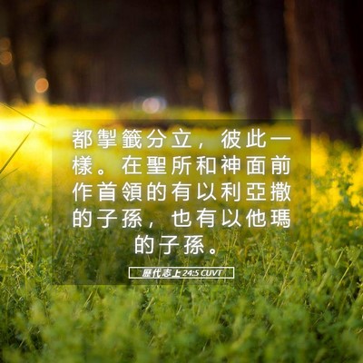 Picture 05 - 歷 代 志 上 24:5 CUVT - 都 掣 籤 分 立 ， 彼 此 一 樣 。 在 - Bible Verse Picture