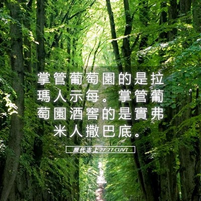 Picture 05 - 歷 代 志 上 27:27 CUVT - 掌 管 葡 萄 園 的 是 拉 瑪 人 示 每 - Bible Verse Picture
