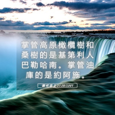 Picture 05 - 歷 代 志 上 27:28 CUVT - 掌 管 高 原 橄 欖 樹 和 桑 樹 的 是 - Bible Verse Picture