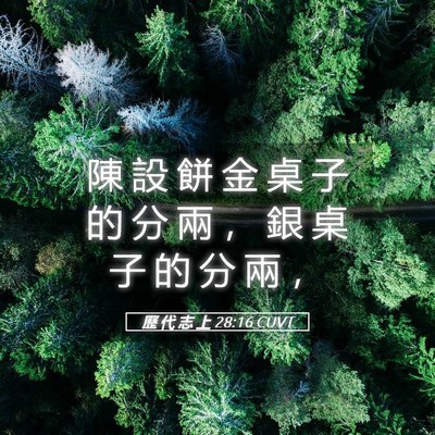 Picture 05 - 歷 代 志 上 28:16 CUVT - 陳 設 餅 金 桌 子 的 分 兩 ， 銀 桌 - Bible Verse Picture