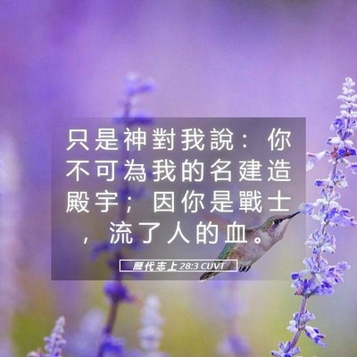 Picture 05 - 歷 代 志 上 28:3 CUVT - 只 是 神 對 我 說 ： 你 不 可 為 我 - Bible Verse Picture