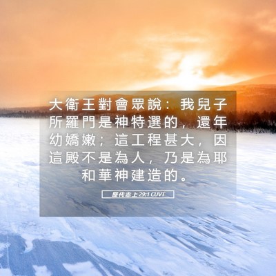Picture 05 - 歷 代 志 上 29:1 CUVT - 大 衛 王 對 會 眾 說 ： 我 兒 子 所 - Bible Verse Picture