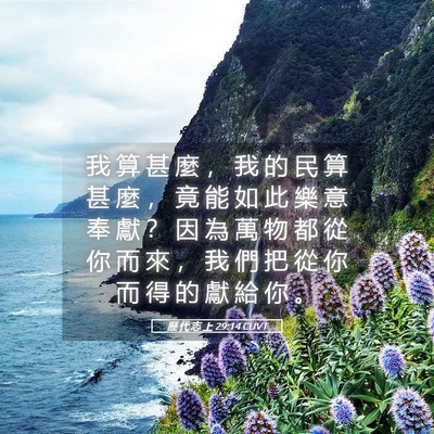 Picture 05 - 歷 代 志 上 29:14 CUVT - 我 算 甚 麼 ， 我 的 民 算 甚 麼 ， - Bible Verse Picture