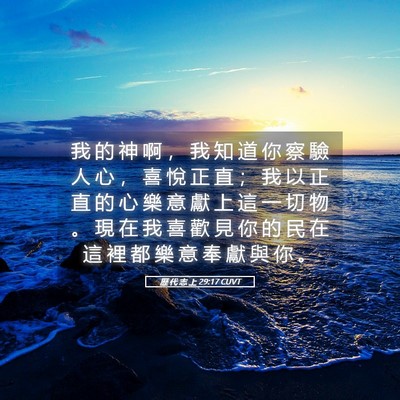 Picture 05 - 歷 代 志 上 29:17 CUVT - 我 的 神 啊 ， 我 知 道 你 察 驗 人 - Bible Verse Picture