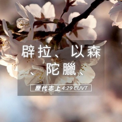 Picture 05 - 歷 代 志 上 4:29 CUVT - 辟 拉 、 以 森 、 陀 臘 - Bible Verse Picture