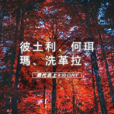 Picture 05 - 歷 代 志 上 4:30 CUVT - 彼 土 利 、 何 珥 瑪 、 洗 革 拉 - Bible Verse Picture