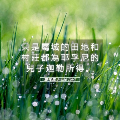 Picture 05 - 歷 代 志 上 6:56 CUVT - 只 是 屬 城 的 田 地 和 村 莊 都 為 - Bible Verse Picture