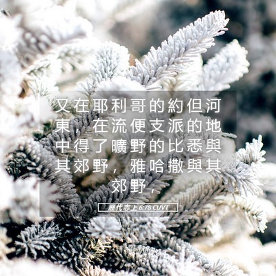 Picture 05 - 歷 代 志 上 6:78 CUVT - 又 在 耶 利 哥 的 約 但 河 東 ， 在 - Bible Verse Picture