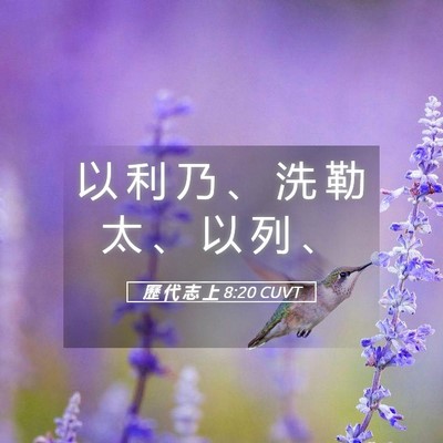 Picture 05 - 歷 代 志 上 8:20 CUVT - 以 利 乃 、 洗 勒 太 、 以 列 - Bible Verse Picture