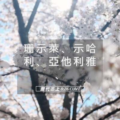 Picture 05 - 歷 代 志 上 8:26 CUVT - 珊 示 萊 、 示 哈 利 、 亞 他 利 雅 - Bible Verse Picture