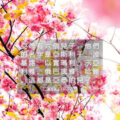 Picture 05 - 歷 代 志 上 9:44 CUVT - 亞 悉 有 六 個 兒 子 ， 他 們 的 名 - Bible Verse Picture