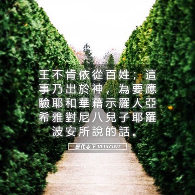 Picture 05 - 歷 代 志 下 10:15 CUVT - 王 不 肯 依 從 百 姓 ； 這 事 乃 出 - Bible Verse Picture