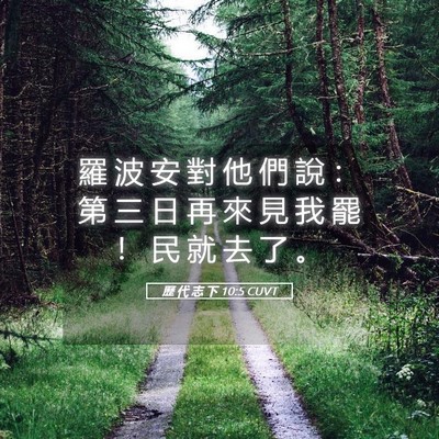 Picture 05 - 歷 代 志 下 10:5 CUVT - 羅 波 安 對 他 們 說 ： 第 三 日 再 - Bible Verse Picture