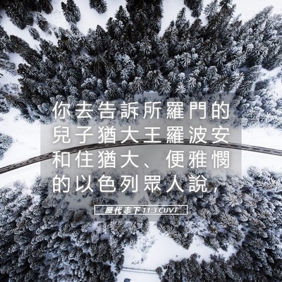 Picture 05 - 歷 代 志 下 11:3 CUVT - 你 去 告 訴 所 羅 門 的 兒 子 猶 大 - Bible Verse Picture