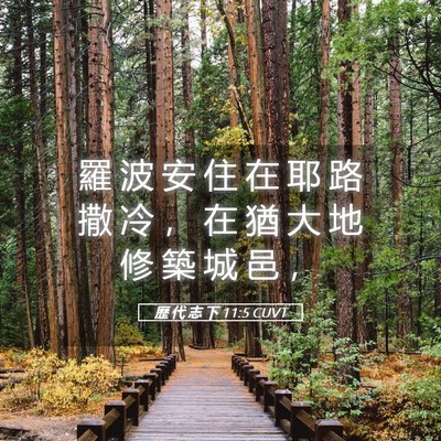Picture 05 - 歷 代 志 下 11:5 CUVT - 羅 波 安 住 在 耶 路 撒 冷 ， 在 猶 - Bible Verse Picture