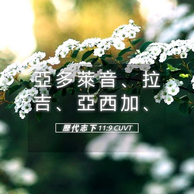 Picture 05 - 歷 代 志 下 11:9 CUVT - 亞 多 萊 音 、 拉 吉 、 亞 西 加 - Bible Verse Picture