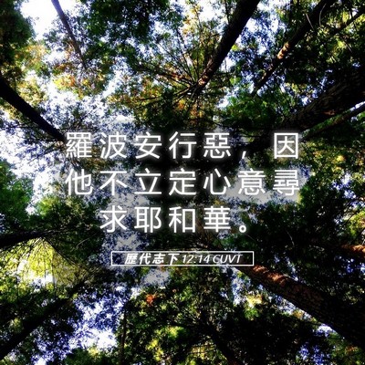 Picture 05 - 歷 代 志 下 12:14 CUVT - 羅 波 安 行 惡 ， 因 他 不 立 定 心 - Bible Verse Picture