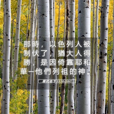 Picture 05 - 歷 代 志 下 13:18 CUVT - 那 時 ， 以 色 列 人 被 制 伏 了 ， - Bible Verse Picture