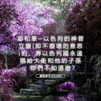 Picture 05 - 歷 代 志 下 13:5 CUVT - 耶 和 華 ─ 以 色 列 的 神 曾 立 鹽 ( - Bible Verse Picture