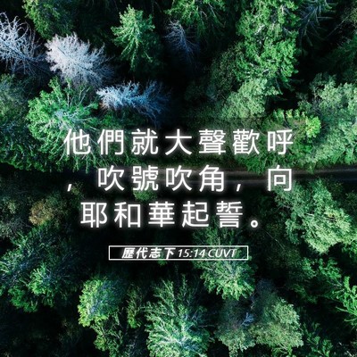 Picture 05 - 歷 代 志 下 15:14 CUVT - 他 們 就 大 聲 歡 呼 ， 吹 號 吹 角 - Bible Verse Picture