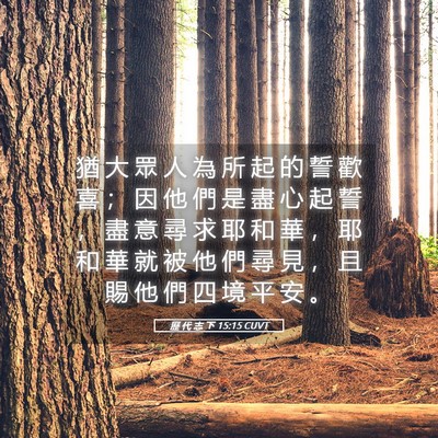 Picture 05 - 歷 代 志 下 15:15 CUVT - 猶 大 眾 人 為 所 起 的 誓 歡 喜 ； - Bible Verse Picture