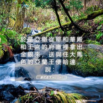 Picture 05 - 歷 代 志 下 16:2 CUVT - 於 是 亞 撒 從 耶 和 華 殿 和 王 宮 - Bible Verse Picture