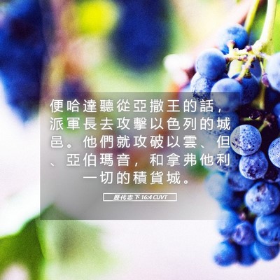 Picture 05 - 歷 代 志 下 16:4 CUVT - 便 哈 達 聽 從 亞 撒 王 的 話 ， 派 - Bible Verse Picture