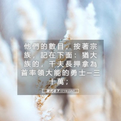 Picture 05 - 歷 代 志 下 17:14 CUVT - 他 們 的 數 目 ， 按 著 宗 族 ， 記 - Bible Verse Picture