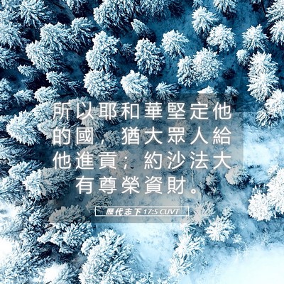 Picture 05 - 歷 代 志 下 17:5 CUVT - 所 以 耶 和 華 堅 定 他 的 國 ， 猶 - Bible Verse Picture