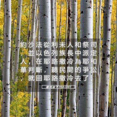 Picture 05 - 歷 代 志 下 19:8 CUVT - 約 沙 法 從 利 未 人 和 祭 司 ， 並 - Bible Verse Picture