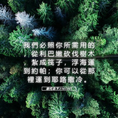 Picture 05 - 歷 代 志 下 2:16 CUVT - 我 們 必 照 你 所 需 用 的 ， 從 利 - Bible Verse Picture