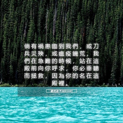 Picture 05 - 歷 代 志 下 20:9 CUVT - 倘 有 禍 患 臨 到 我 們 ， 或 刀 兵 - Bible Verse Picture