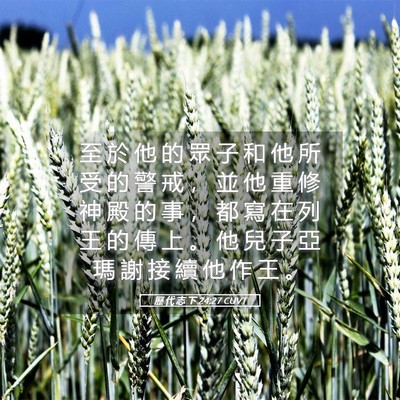 Picture 05 - 歷 代 志 下 24:27 CUVT - 至 於 他 的 眾 子 和 他 所 受 的 警 - Bible Verse Picture