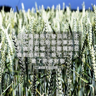 Picture 05 - 歷 代 志 下 25:13 CUVT - 但 亞 瑪 謝 所 打 發 回 去 、 不 許 - Bible Verse Picture