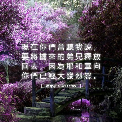 Picture 05 - 歷 代 志 下 28:11 CUVT - 現 在 你 們 當 聽 我 說 ， 要 將 擄 - Bible Verse Picture