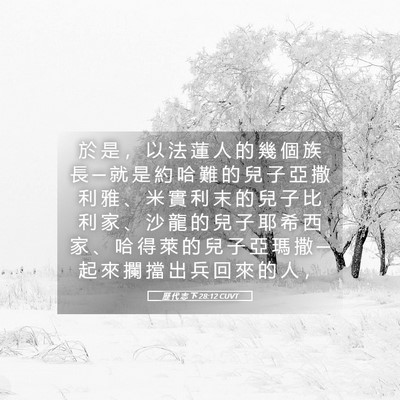 Picture 05 - 歷 代 志 下 28:12 CUVT - 於 是 ， 以 法 蓮 人 的 幾 個 族 長 - Bible Verse Picture