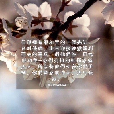 Picture 05 - 歷 代 志 下 28:9 CUVT - 但 那 裡 有 耶 和 華 的 一 個 先 知 - Bible Verse Picture