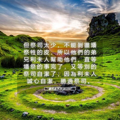Picture 05 - 歷 代 志 下 29:34 CUVT - 但 祭 司 太 少 ， 不 能 剝 盡 燔 祭 - Bible Verse Picture