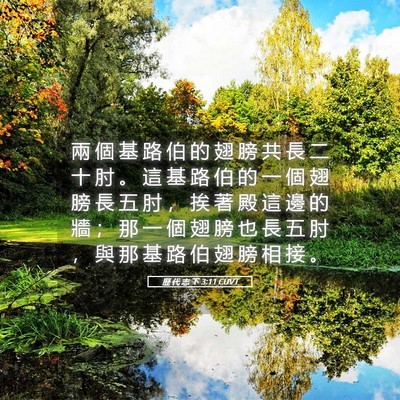 Picture 05 - 歷 代 志 下 3:11 CUVT - 兩 個 基 路 伯 的 翅 膀 共 長 二 十 - Bible Verse Picture