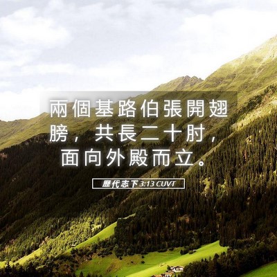 Picture 05 - 歷 代 志 下 3:13 CUVT - 兩 個 基 路 伯 張 開 翅 膀 ， 共 長 - Bible Verse Picture