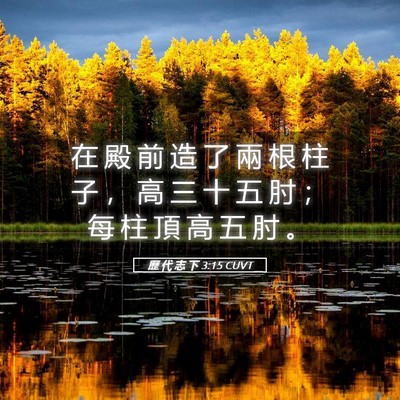 Picture 05 - 歷 代 志 下 3:15 CUVT - 在 殿 前 造 了 兩 根 柱 子 ， 高 三 - Bible Verse Picture